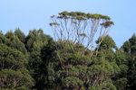 IMG_0259level