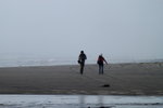 Ocean Beach 15