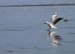 到2
