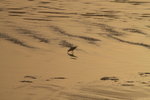 IMG_0357level