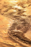 IMG_0381level