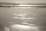 Ocean Beach 10