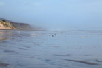 Ocean Beach 13