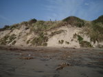 Ocean Beach 1