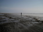 Ocean Beach 5