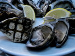 好咸又不新鮮的生蠔 - 樣OK