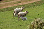 IMG_0409level