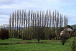 Ouse 1