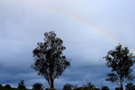IMG_0442level