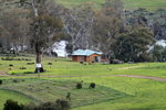 IMG_0444level