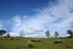 Curringa Farm2