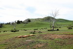 IMG_1632level