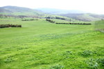 IMG_1641level