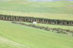 IMG_1646level