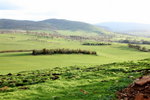 IMG_1652level