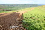 IMG_1653level