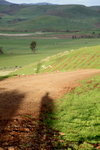 IMG_1654level