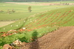 IMG_1656level