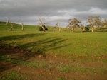 IMG_2828level