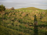 IMG_2840level