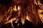 Hastings Caves - 鐘乳石洞