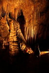 IMG_1977level