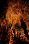 IMG_1978level
