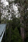 IMG_2029level
