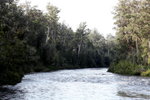 IMG_2073level