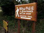 IMG_4131level