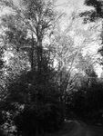 2005-12-31-018