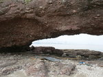 P1040166