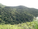 P1040982