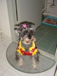 DSC00912