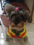 DSC00915