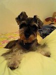 pic_029uhi