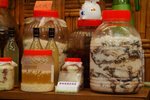 甚麼酒來？