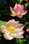 DSCF0108