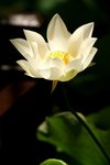 DSCF0113