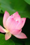 DSCF0147