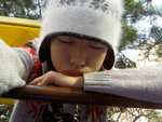 PICT3555