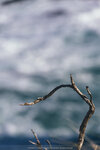 2-Melbourne-1527-IMG_3012