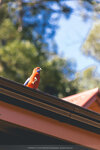 2-Melbourne-1751-IMG_4119
