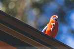 2-Melbourne-1753-IMG_4139