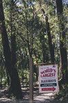 2-Melbourne-1766-IMG_4208