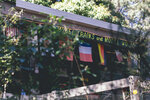 2-Melbourne-1767-IMG_4209