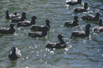 2-Melbourne-1770-IMG_4223