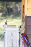 2-Melbourne-1782-IMG_4499