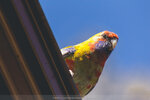 2-Melbourne-1787-IMG_4546