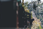 2-Melbourne-1801-IMG_4698